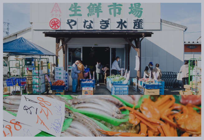 新鮮な浜田の鮮魚をネットでご購入！ONLINE SHOP